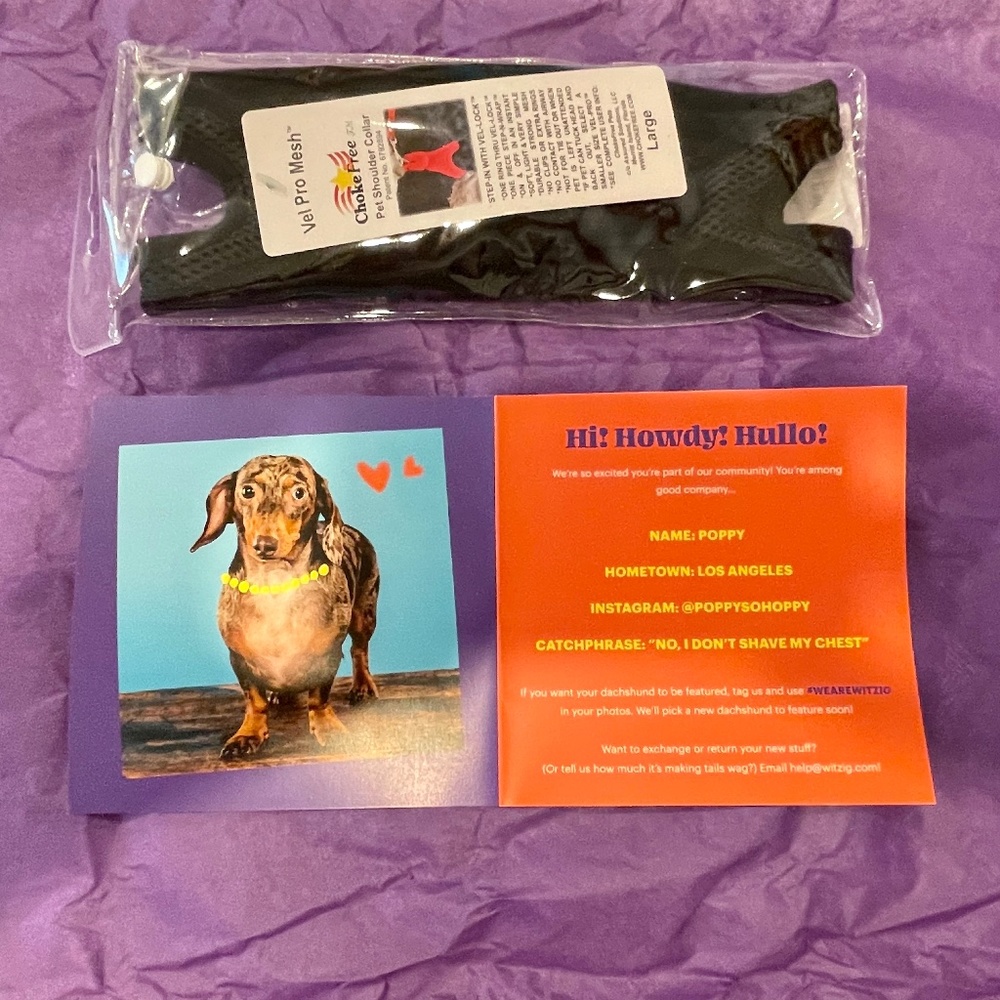 Witzig Dachshund Harness